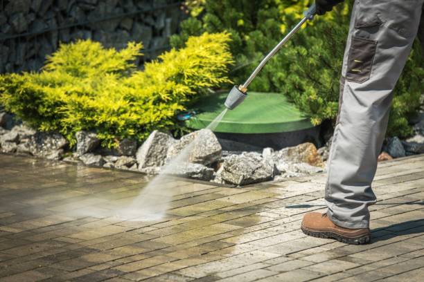Best Gas Station Cleaning  in Olton, TX